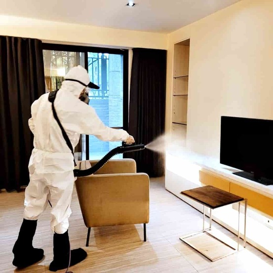 居家消毒除蟲-家適美居家清潔