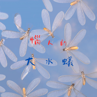 惱人的大水蟻